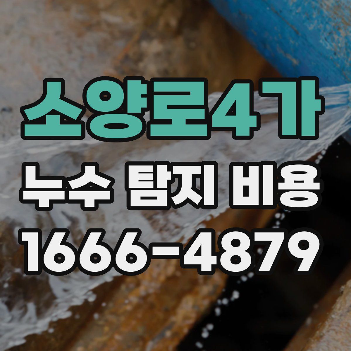 소양로4가 누수 탐지 비용