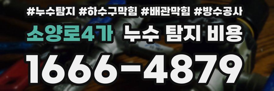 소양로4가 누수 탐지 비용