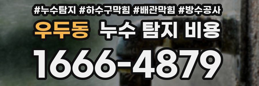 우두동 누수 탐지 비용