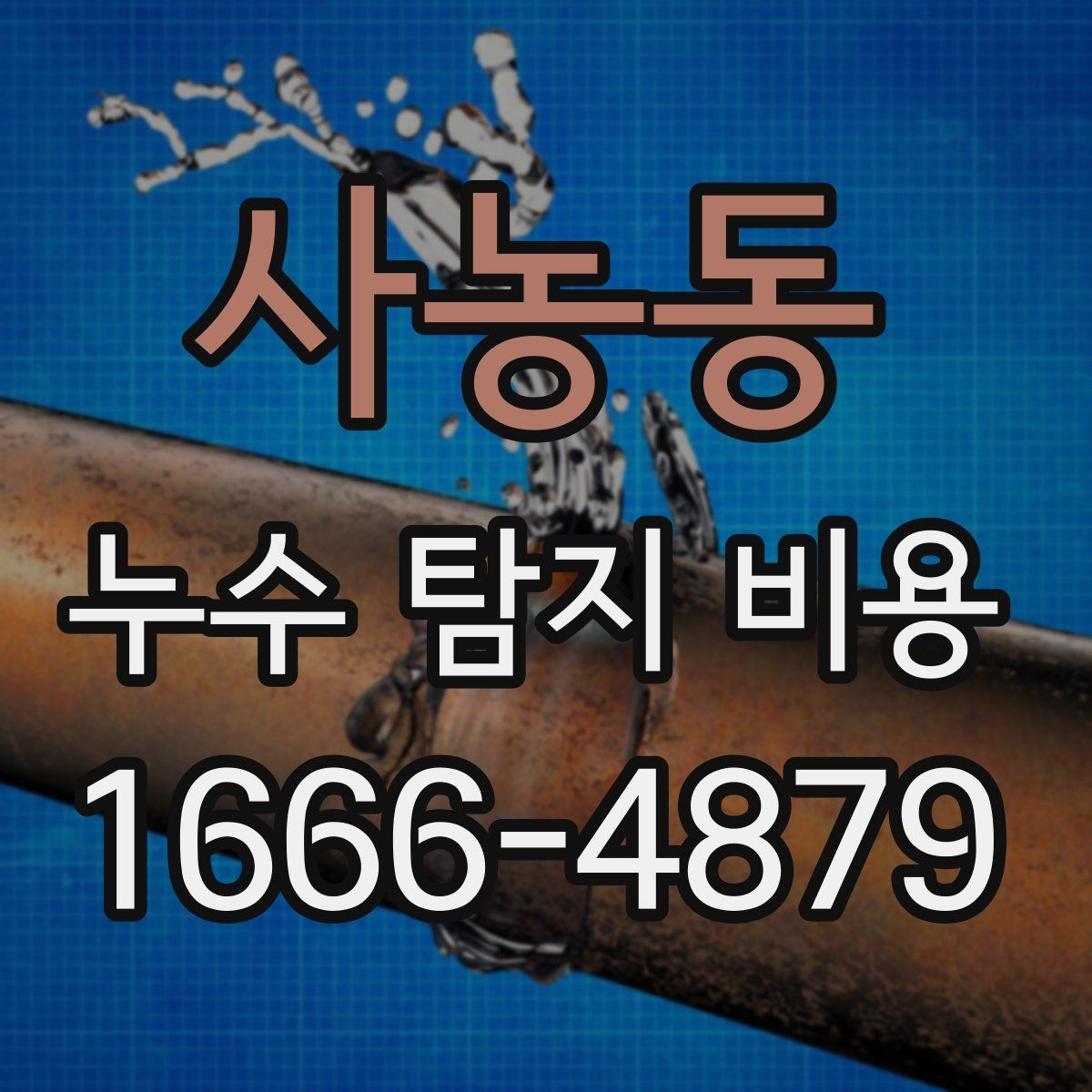 사농동 누수 탐지 비용