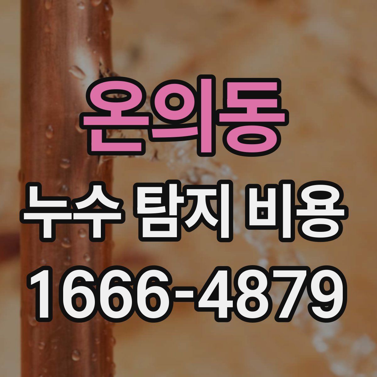 온의동 누수 탐지 비용