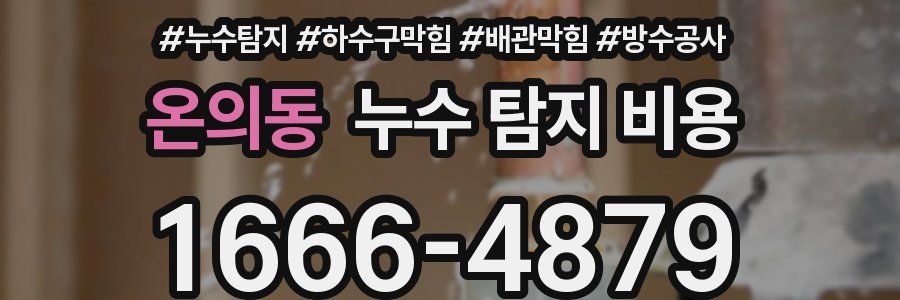 온의동 누수 탐지 비용
