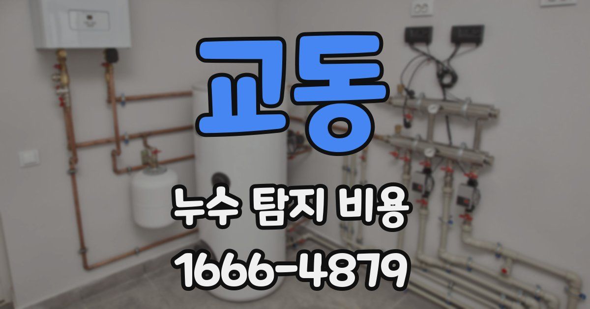 교동 누수 탐지 비용