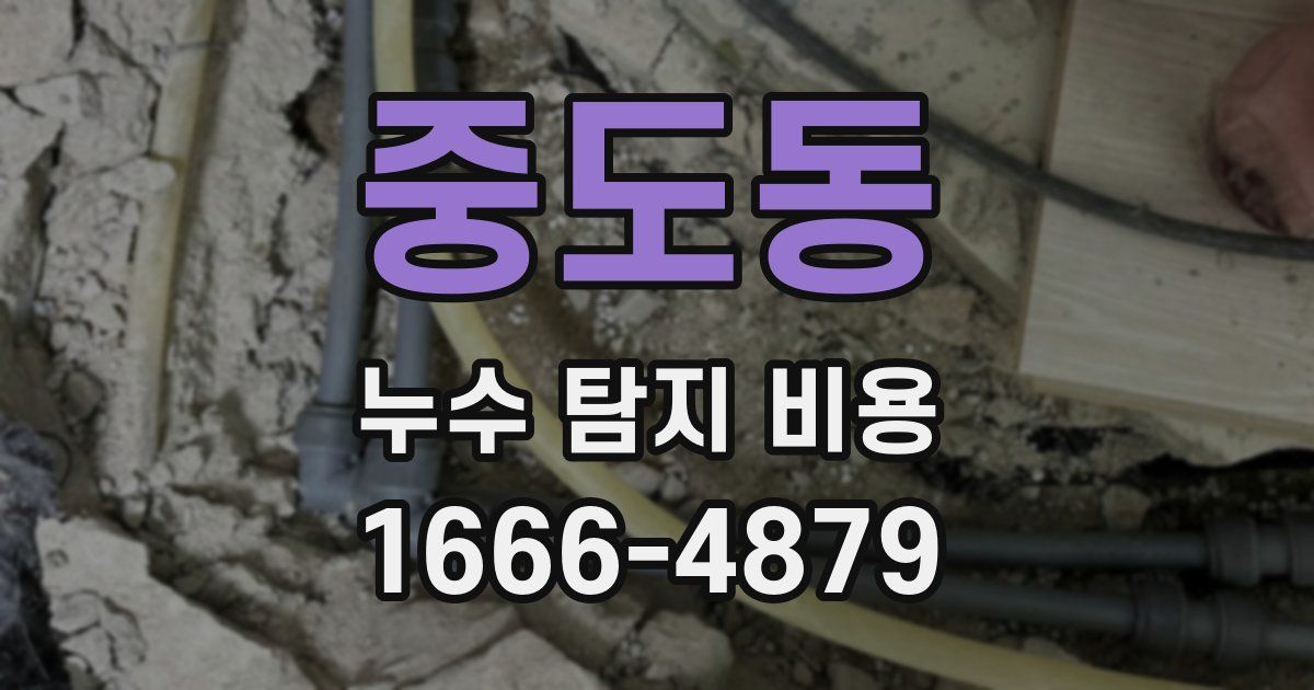 중도동 누수 탐지 비용