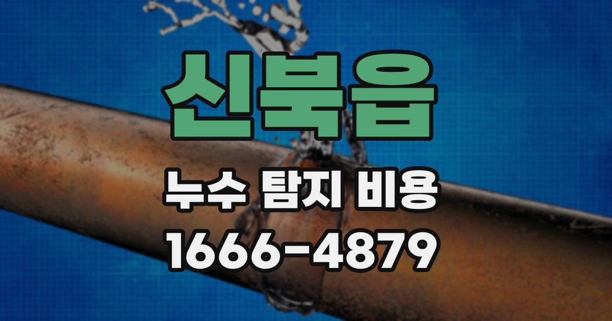 신북읍 누수 탐지 비용