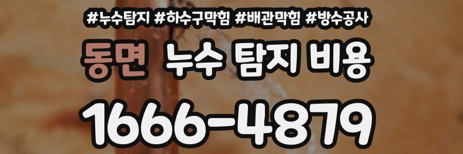 동면 누수 탐지 비용