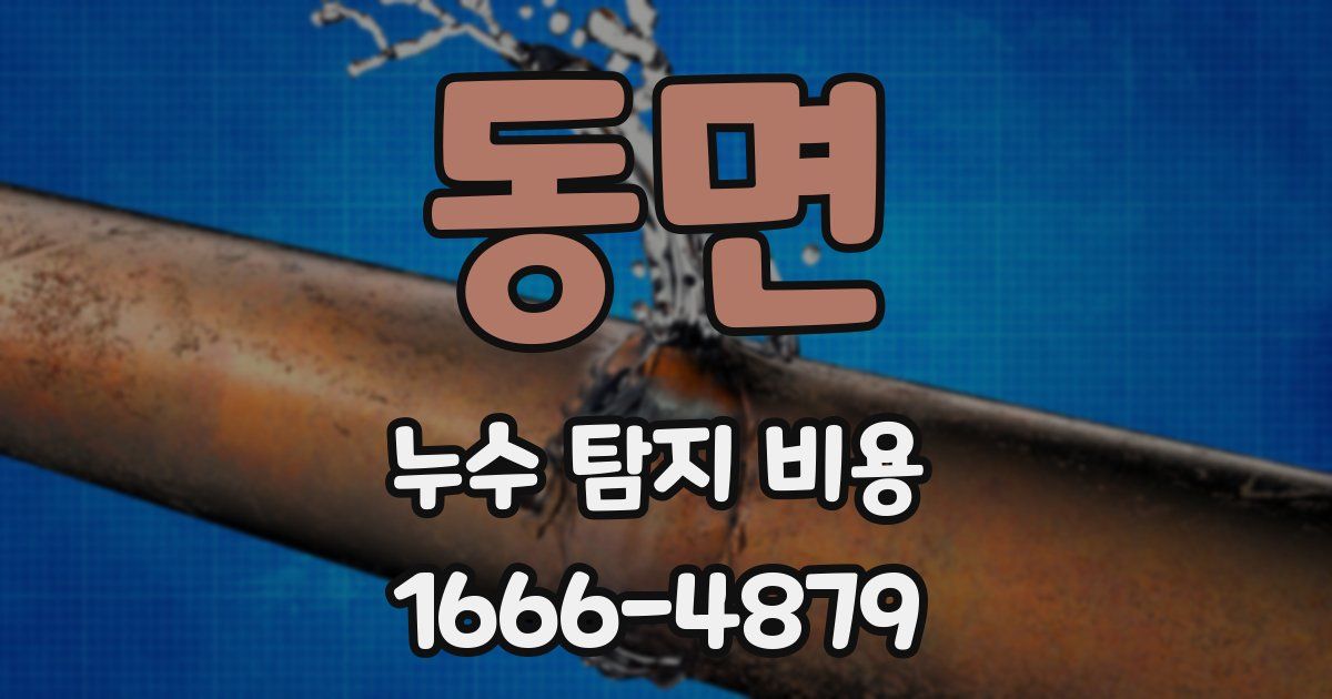 동면 누수 탐지 비용