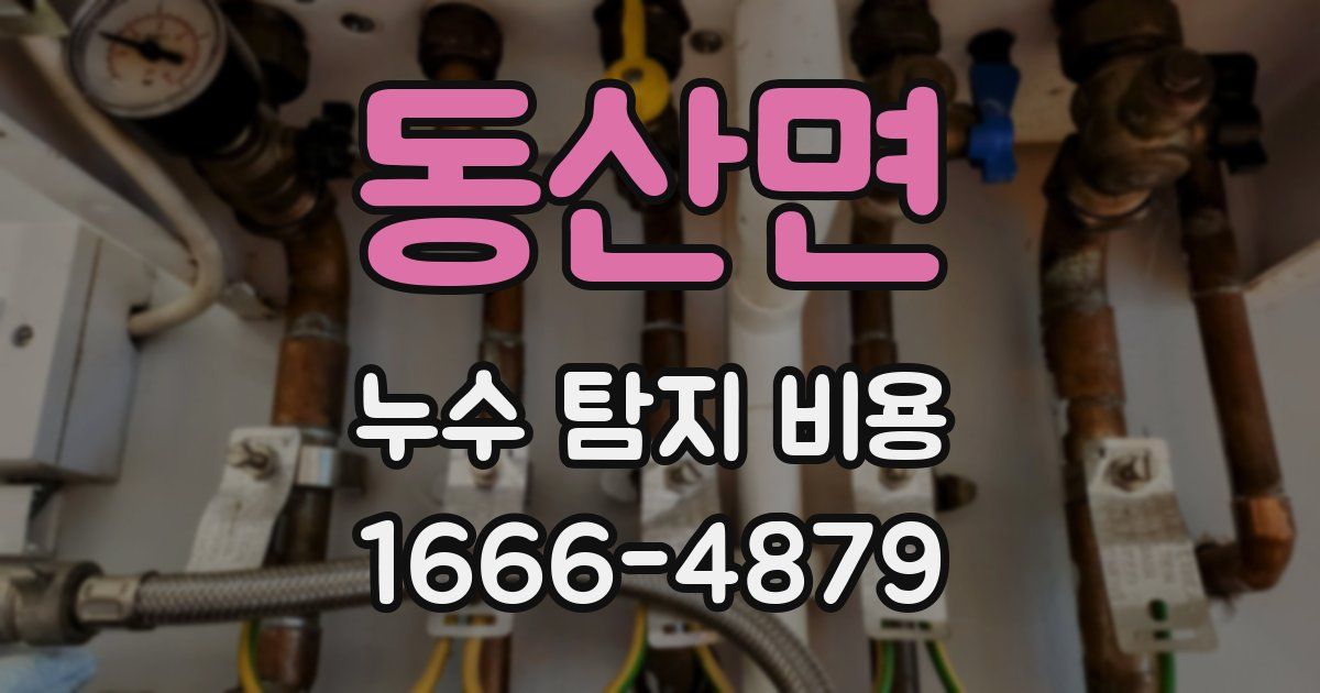 동산면 누수 탐지 비용