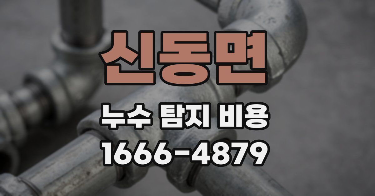 신동면 누수 탐지 비용