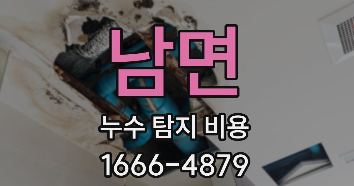 남면 누수 탐지 비용