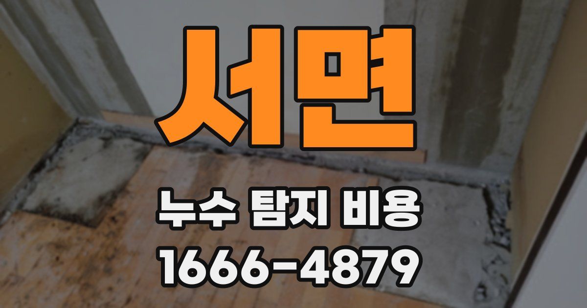 서면 누수 탐지 비용