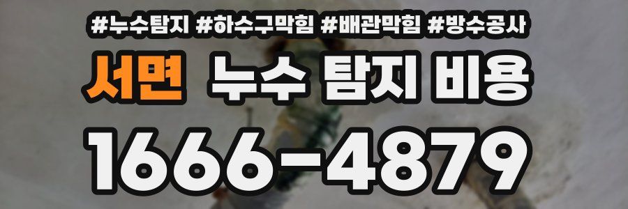 서면 누수 탐지 비용