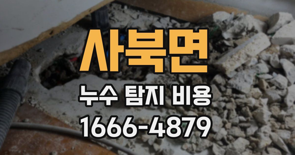 사북면 누수 탐지 비용
