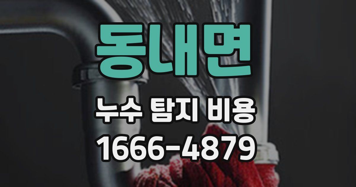 동내면 누수 탐지 비용