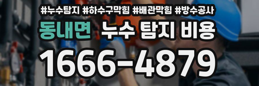 동내면 누수 탐지 비용