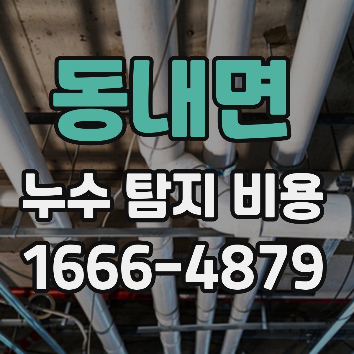 동내면 누수 탐지 비용