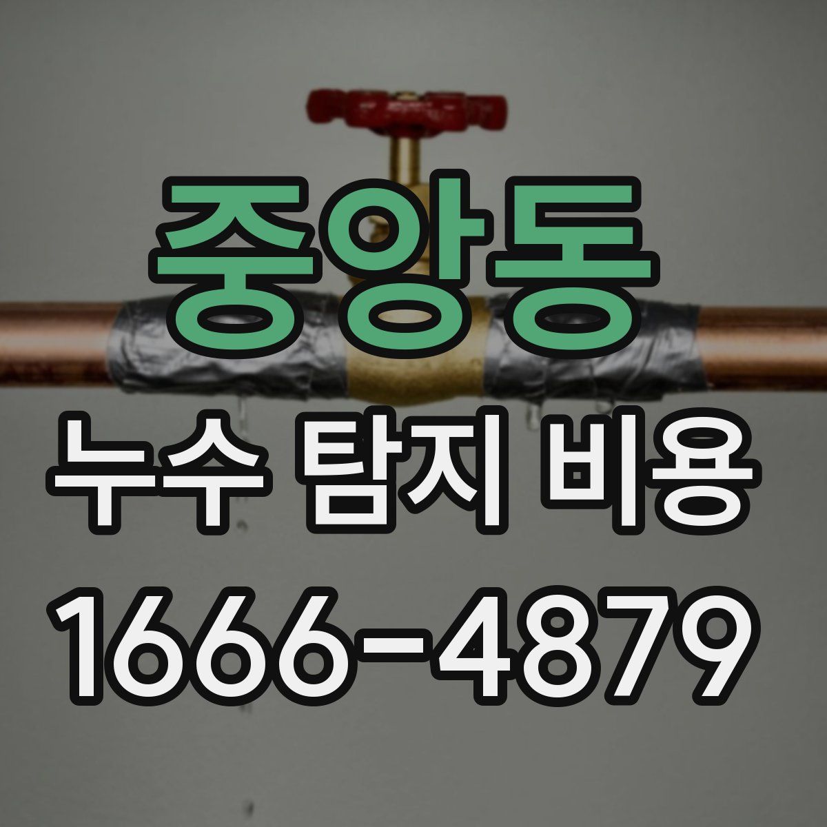 중앙동 누수 탐지 비용
