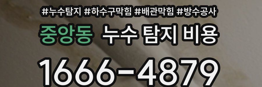 중앙동 누수 탐지 비용