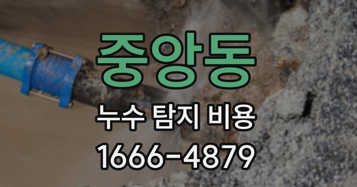 중앙동 누수 탐지 비용