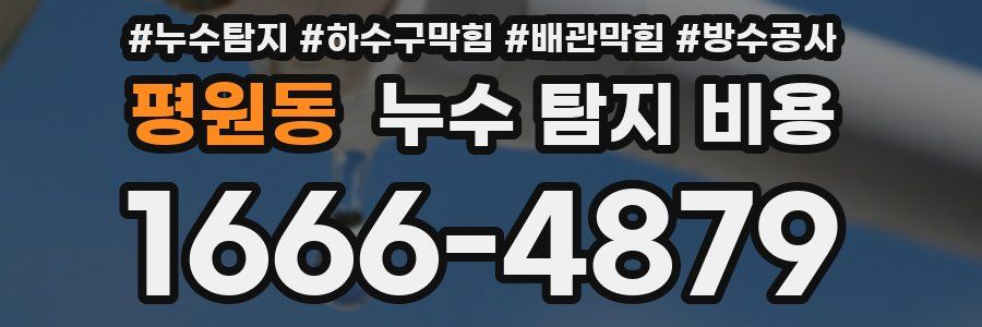 평원동 누수 탐지 비용