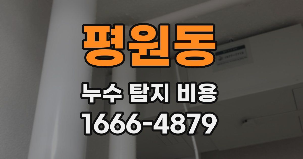 평원동 누수 탐지 비용