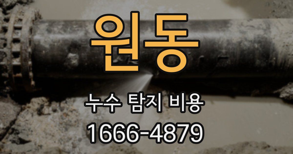 원동 누수 탐지 비용