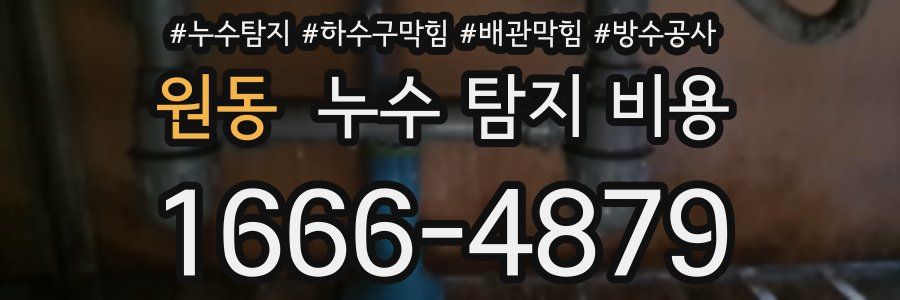 원동 누수 탐지 비용
