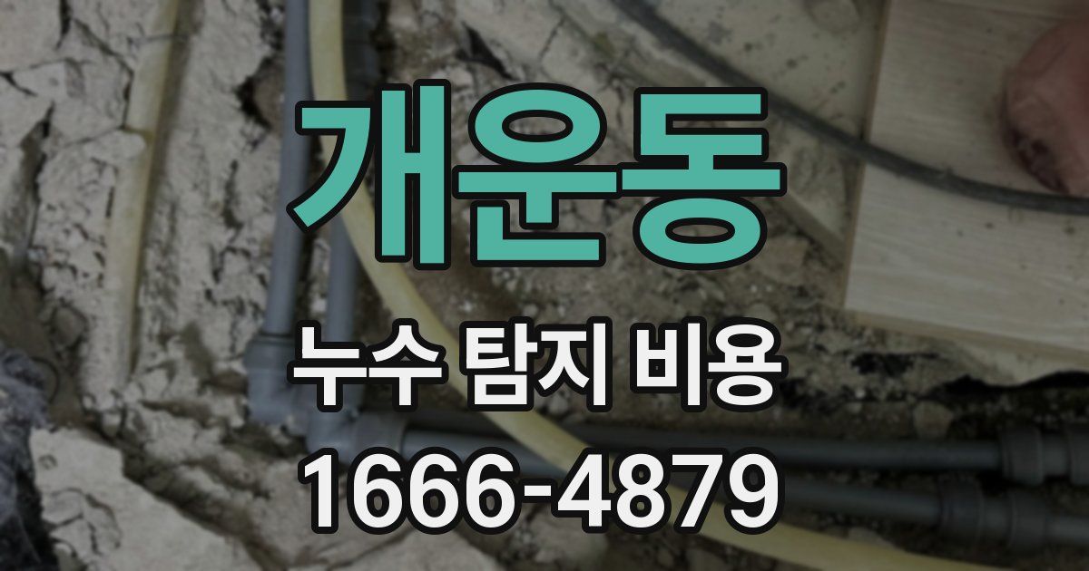 개운동 누수 탐지 비용