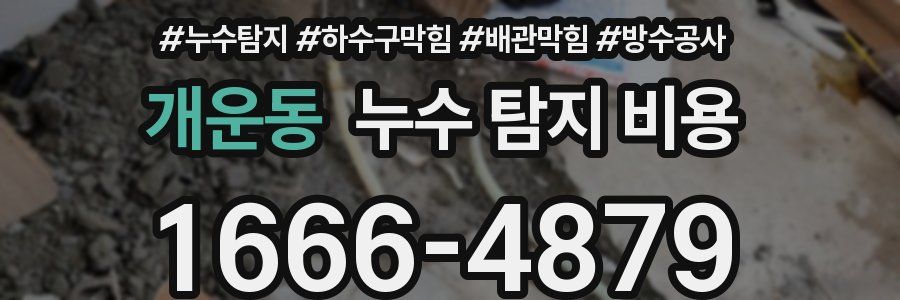 개운동 누수 탐지 비용
