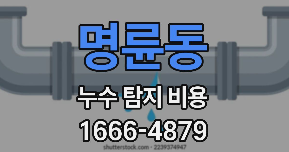 명륜동 누수 탐지 비용