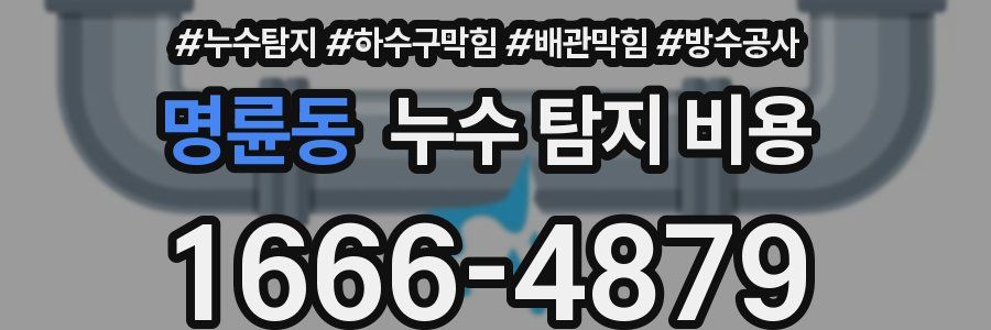 명륜동 누수 탐지 비용
