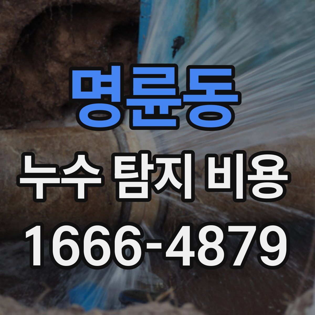 명륜동 누수 탐지 비용