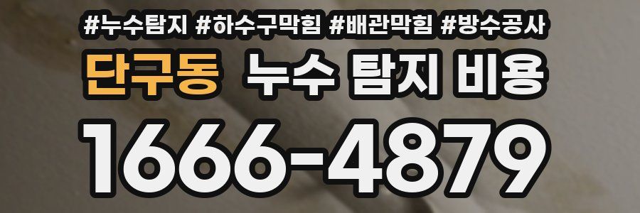 단구동 누수 탐지 비용