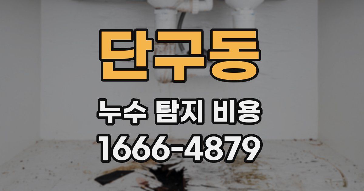 단구동 누수 탐지 비용