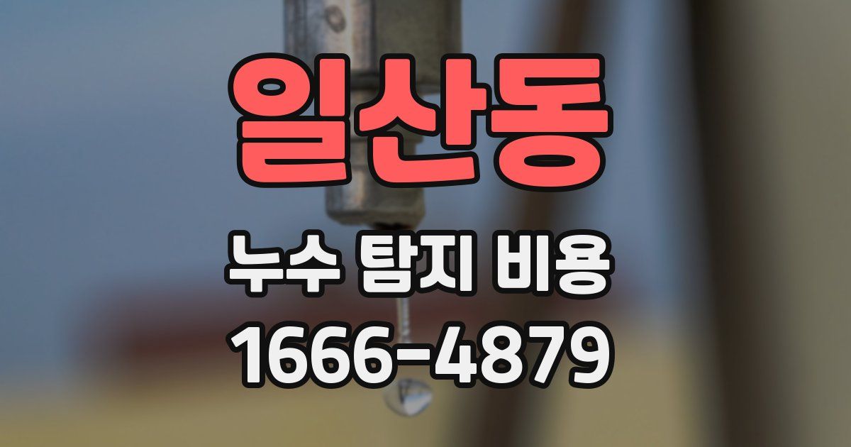 일산동 누수 탐지 비용