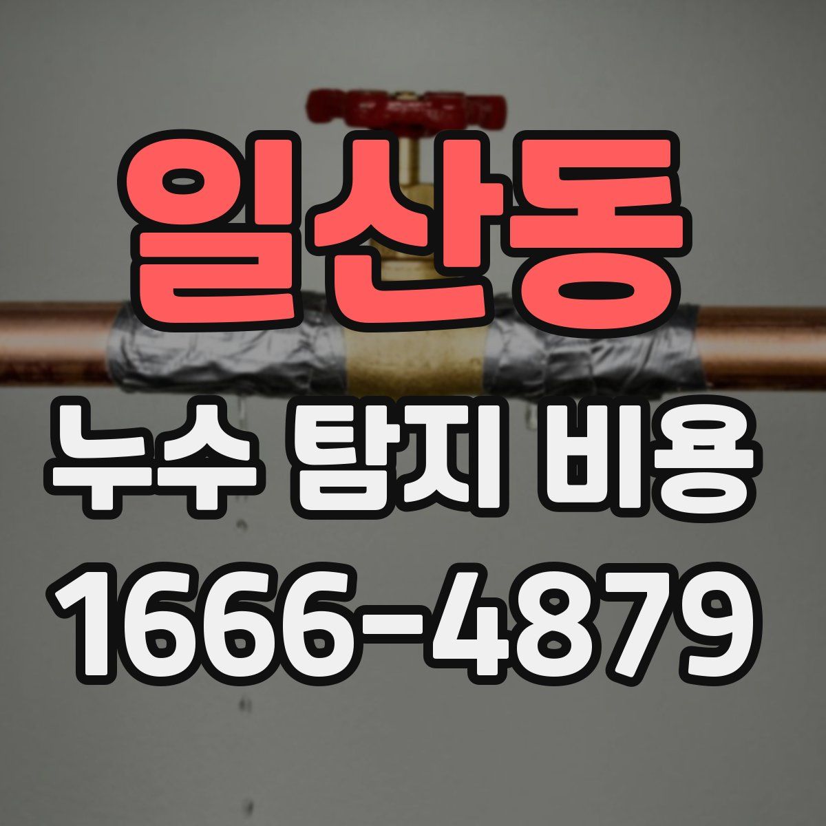 일산동 누수 탐지 비용