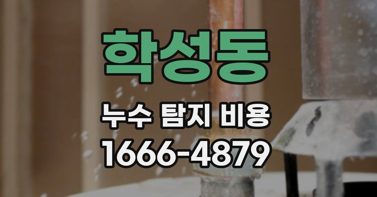 학성동 누수 탐지 비용