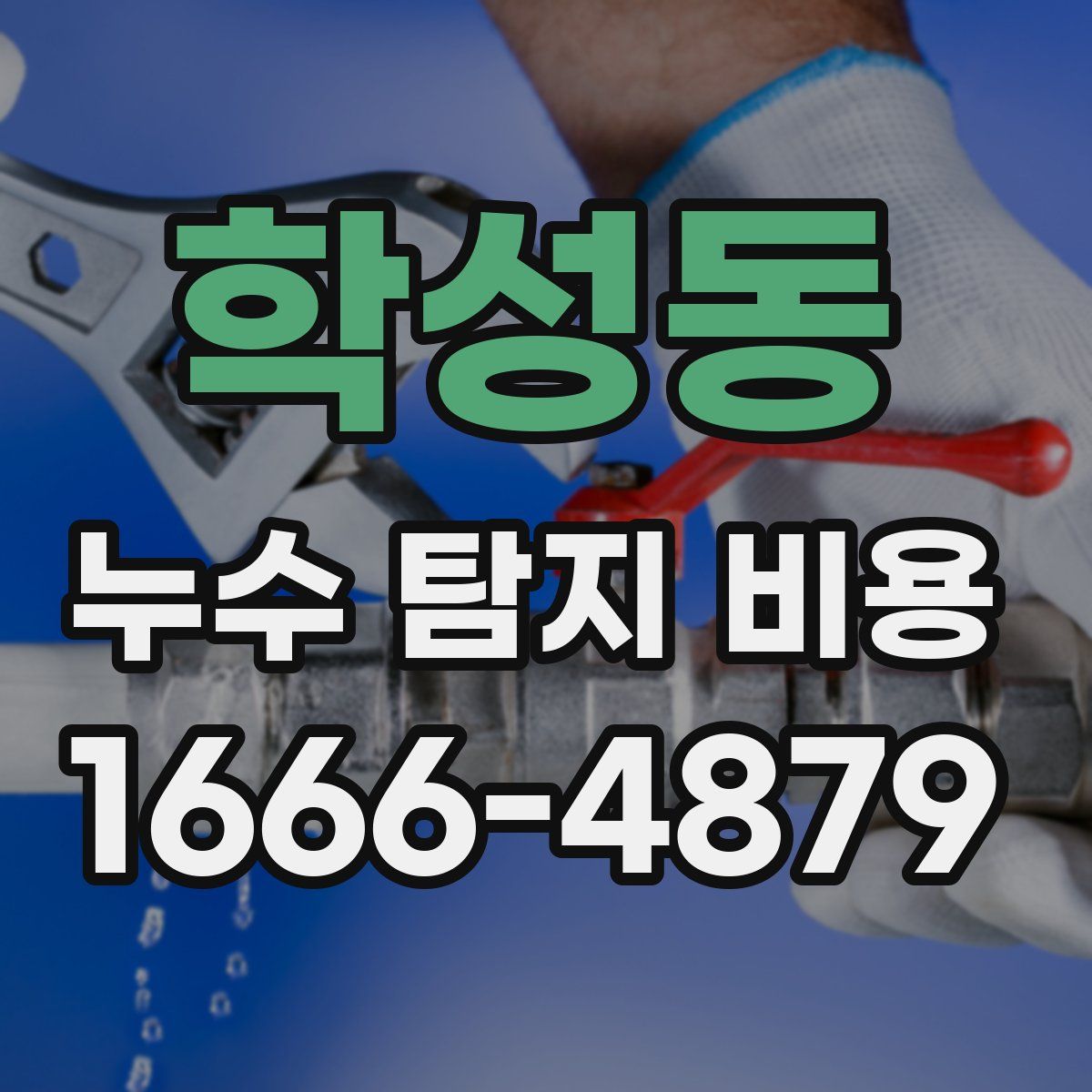 학성동 누수 탐지 비용