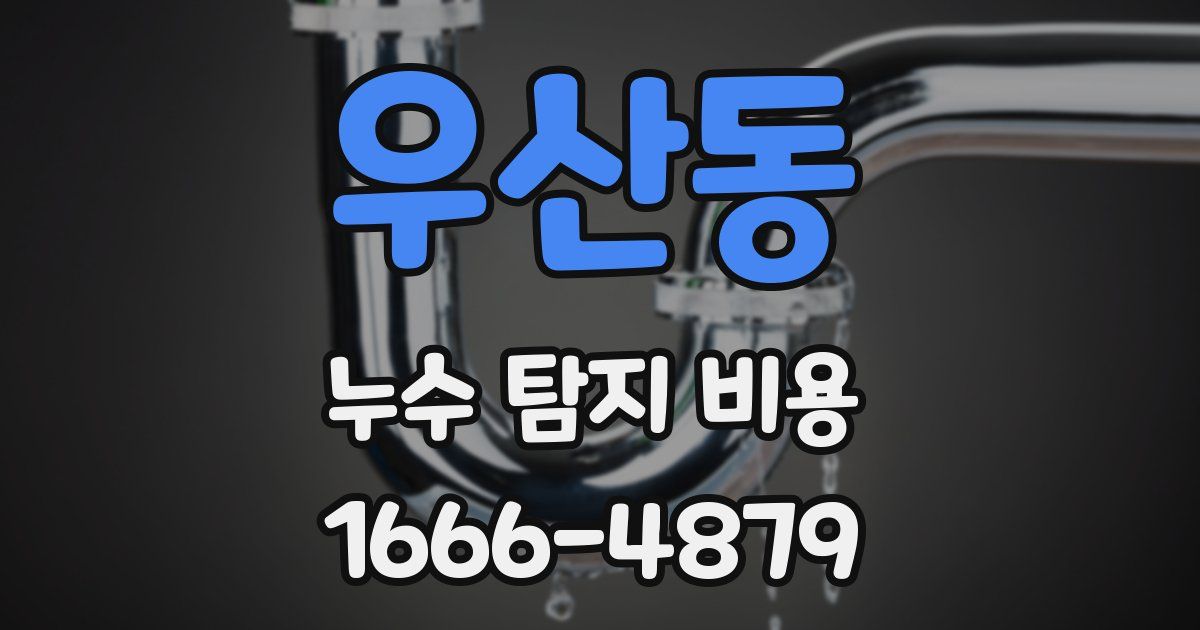 우산동 누수 탐지 비용