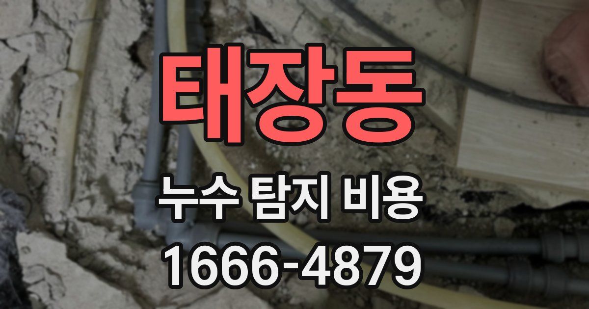 태장동 누수 탐지 비용