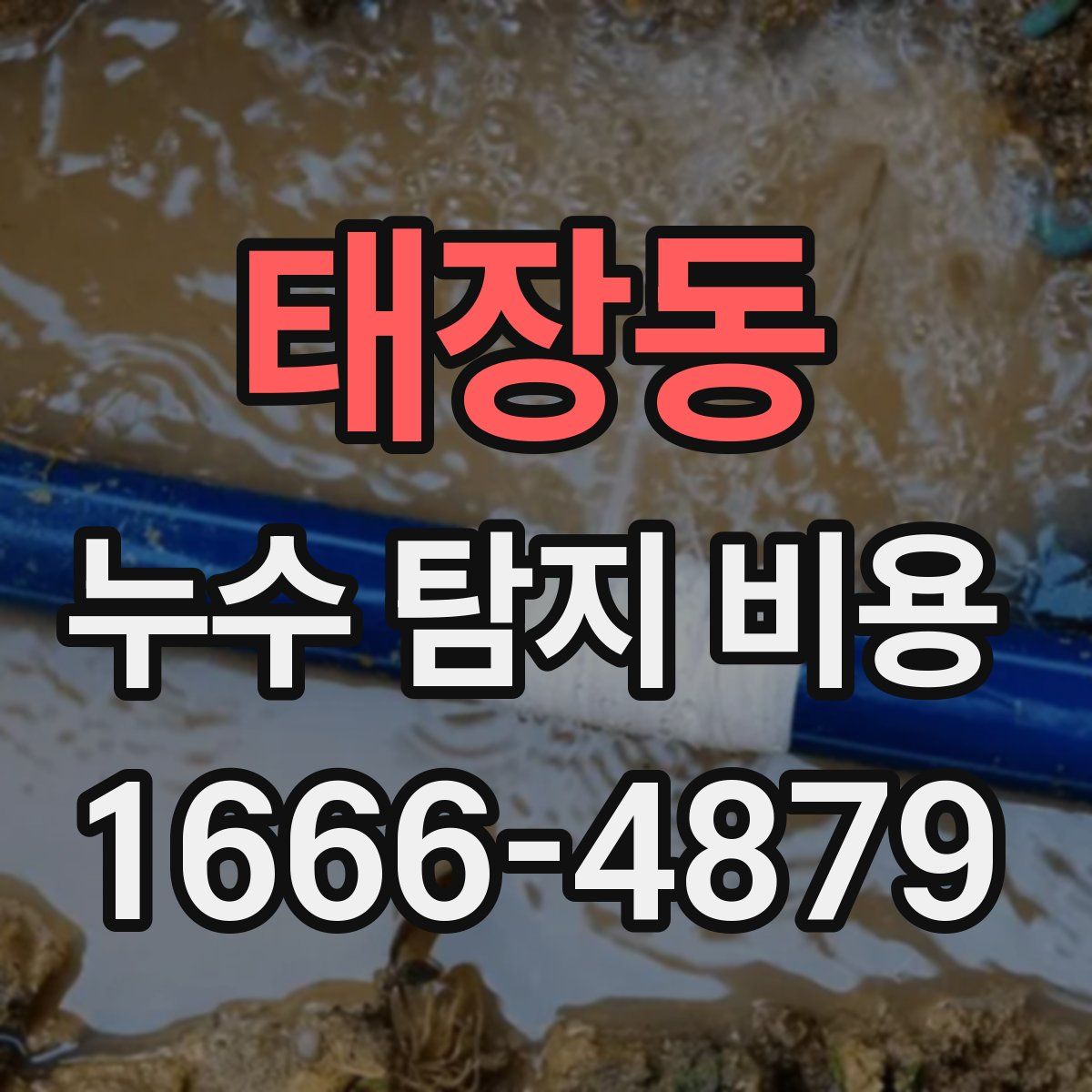 태장동 누수 탐지 비용