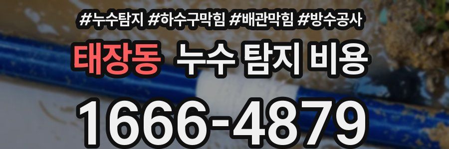 태장동 누수 탐지 비용