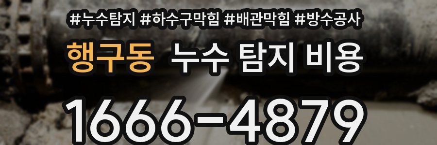 행구동 누수 탐지 비용
