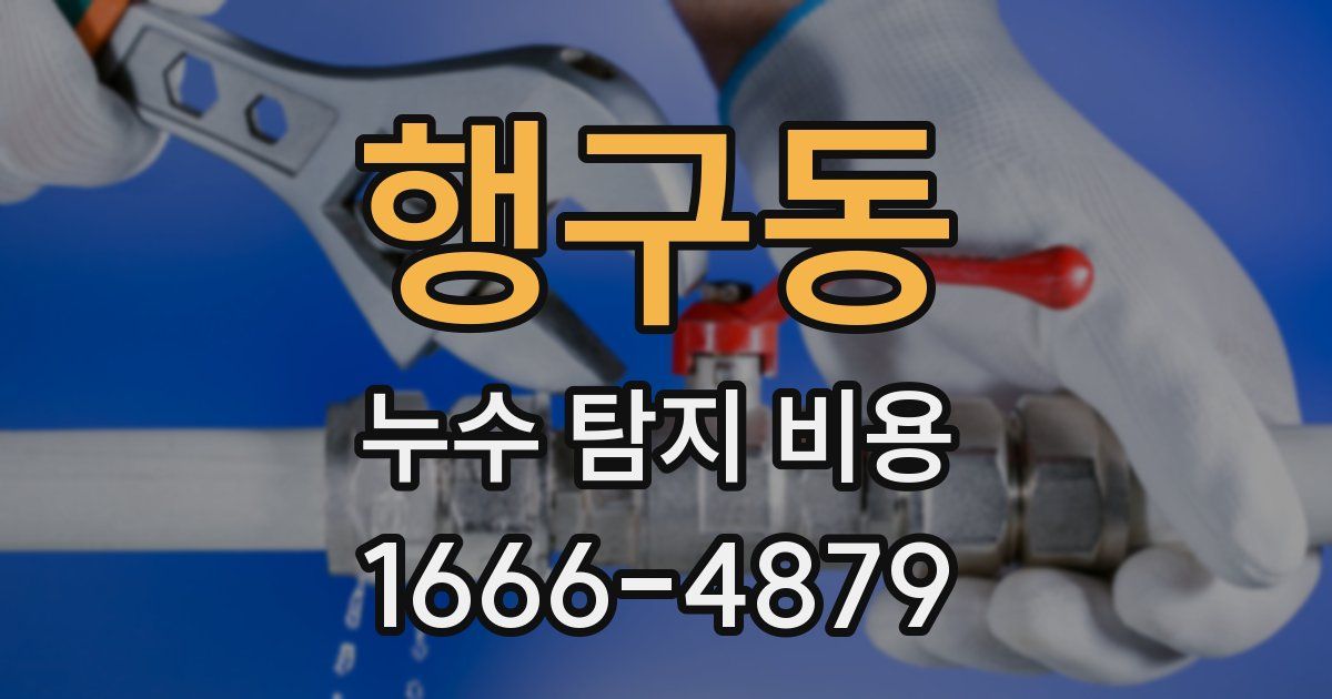 행구동 누수 탐지 비용