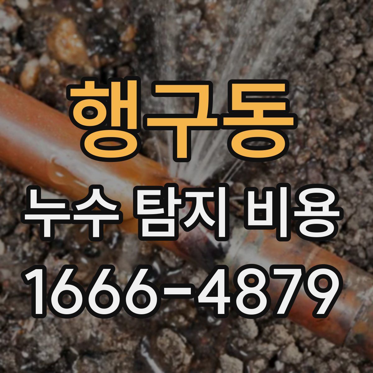 행구동 누수 탐지 비용