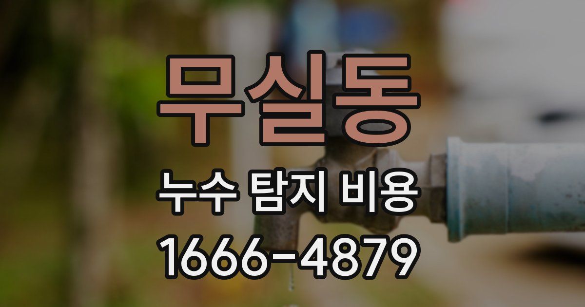 무실동 누수 탐지 비용