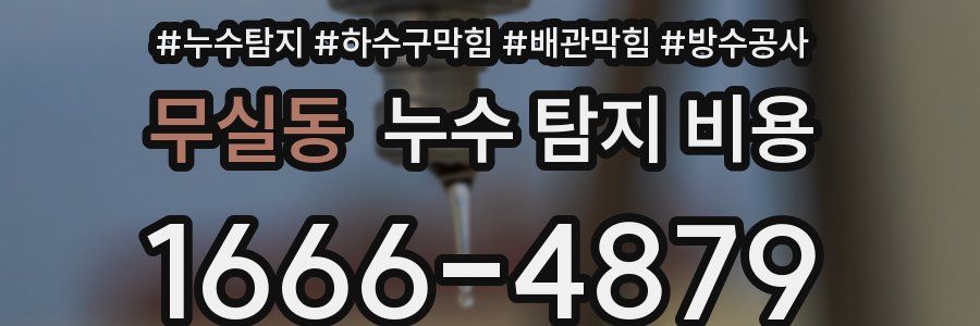 무실동 누수 탐지 비용