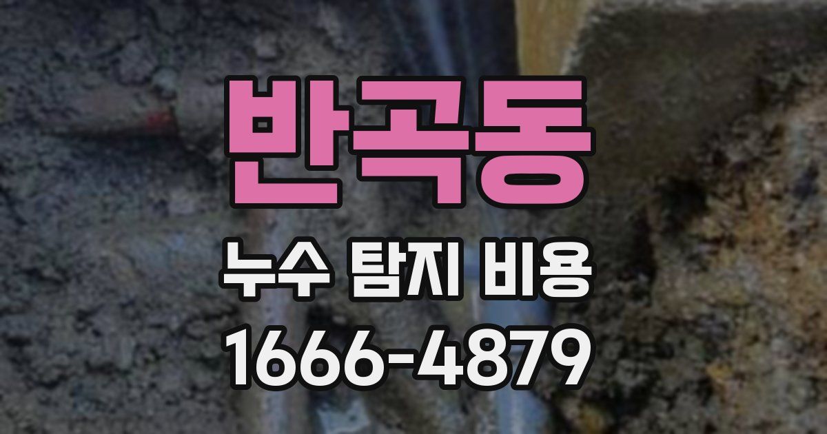 반곡동 누수 탐지 비용