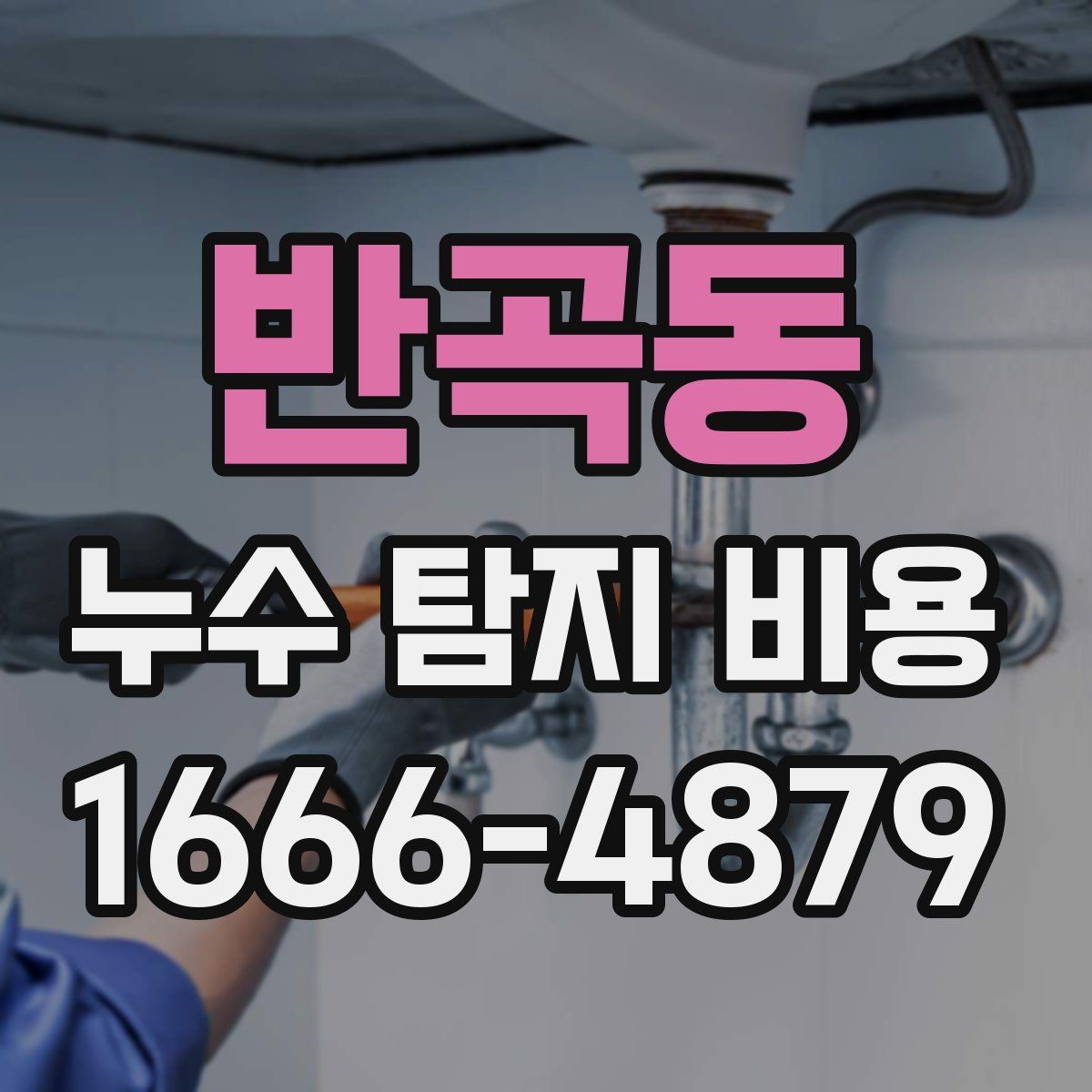 반곡동 누수 탐지 비용