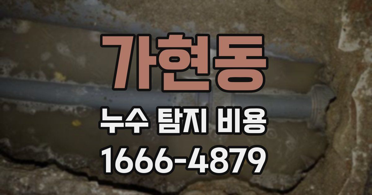 가현동 누수 탐지 비용